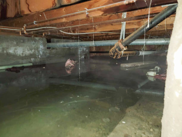 Best Water damage restoration near me  in Brownstown, IN