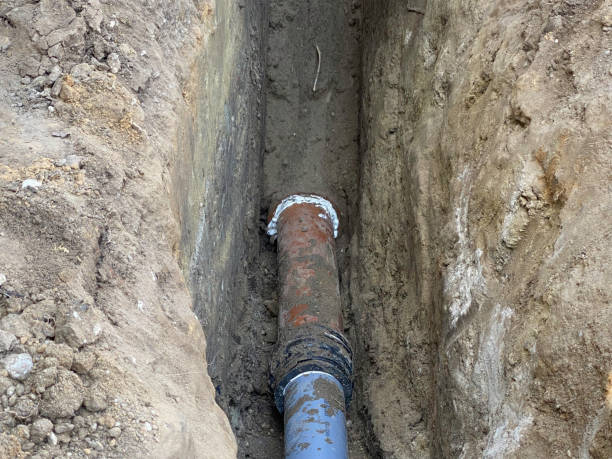 Best Local water damage restoration  in Brownstown, IN