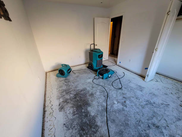  Brownstown, IN Water damage restoration Pros