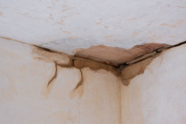 Best Commercial water damage restoration  in Brownstown, IN