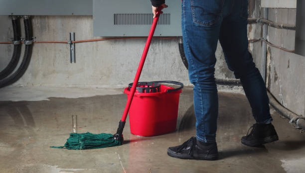 Best Ceiling water damage repair  in Brownstown, IN