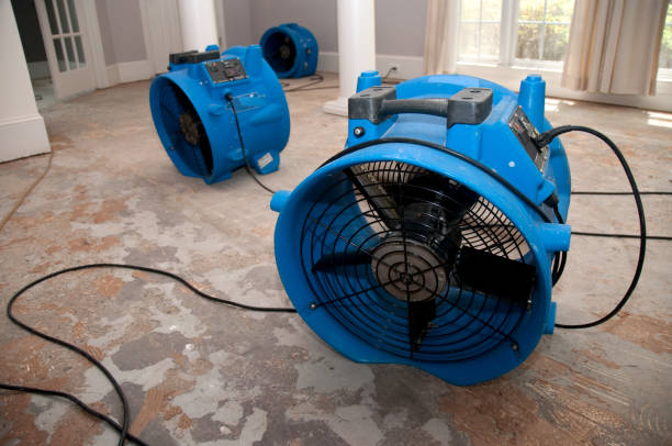 Best Water damage restoration company  in Brownstown, IN