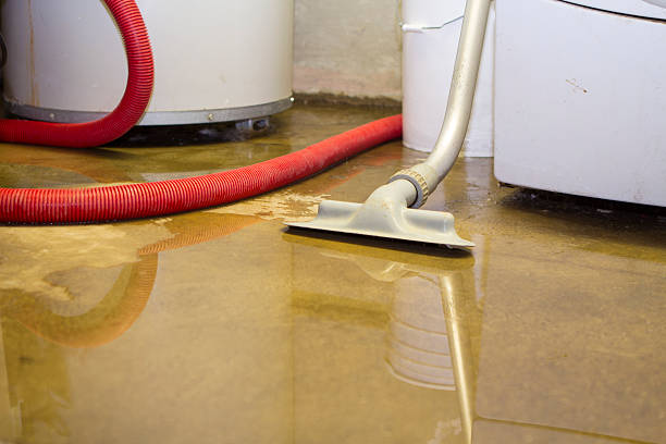 Best Carpet water damage restoration  in Brownstown, IN
