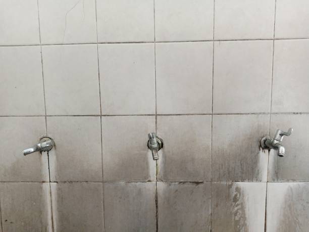 Best Water damage restoration cost  in Brownstown, IN