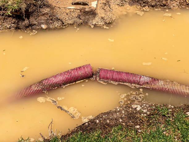 Best Flood damage cleanup  in Brownstown, IN