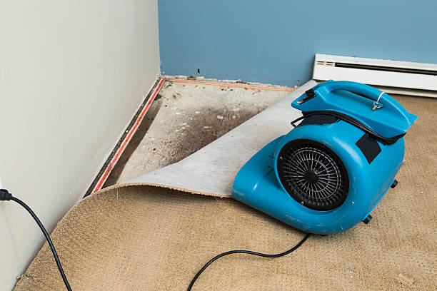 Reliable Brownstown, IN Water damage restoration Solutions